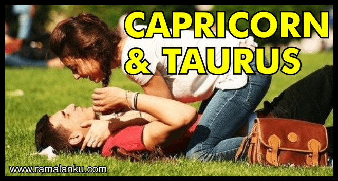 Kecocokan Zodiak Capricorn dan Taurus